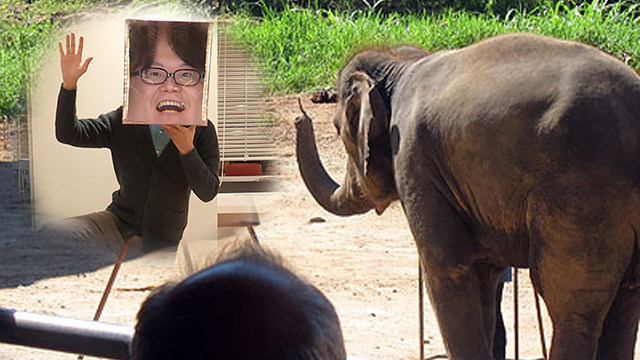 �ł����� in �`�F���}�C