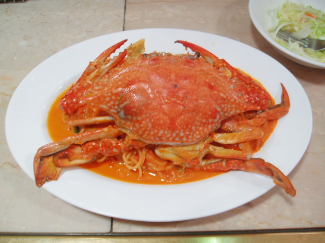 ���݉�̎��s