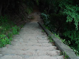 $B!V5^$J3,CJ$r2<$C$F$S$oBl$rL\;X$9(B